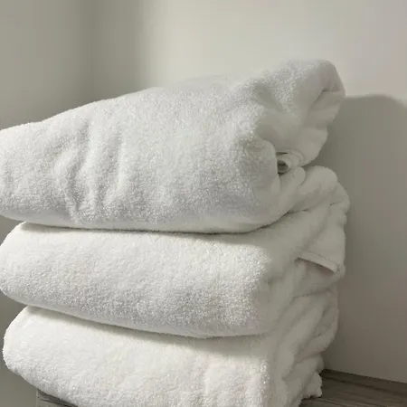 Raffine - Literie De Gamme - Parking Gratuit - - Wifi Rapide *